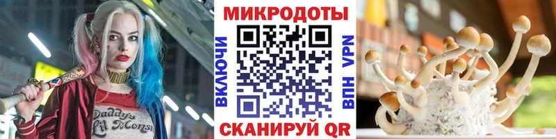 как найти закладки  Радужный  Псилоцибиновые грибы ЛСД 